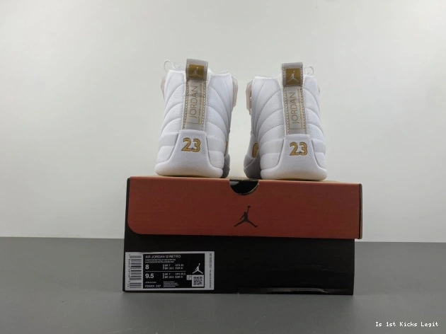 12 Air WMNS Phantom FD9101-007 Jordan 0705